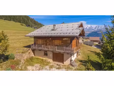 chalet avec terrasse hauteluce (73)
