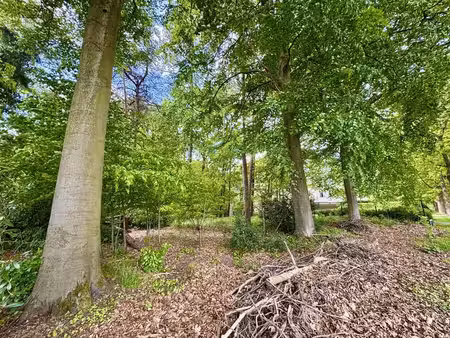 terrain