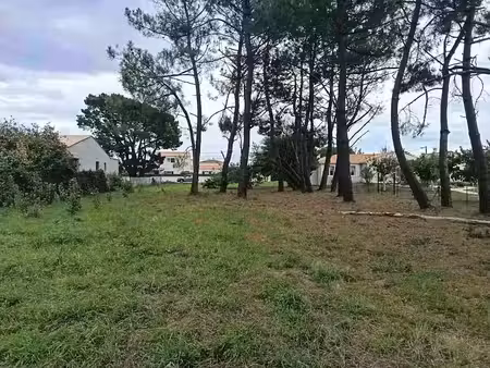 vente terrain 974 m² à saint-palais-sur-mer (17420)  299 900 €