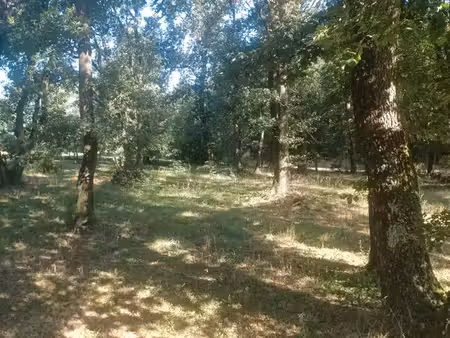 terrain à assieu 38150