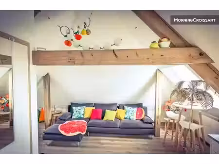 location meublée loft 1 pièce 30 m² à colmar (68000)  800 €