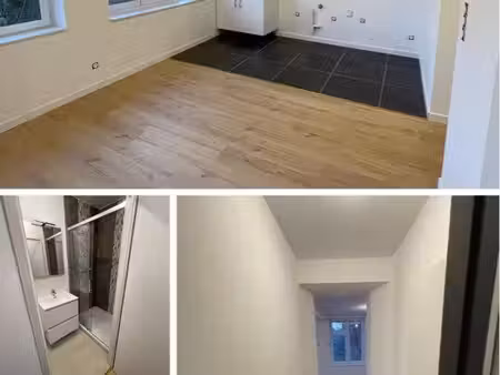 appartement a louer 1 chambre