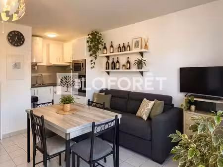 studio 1 pièce 26 m²