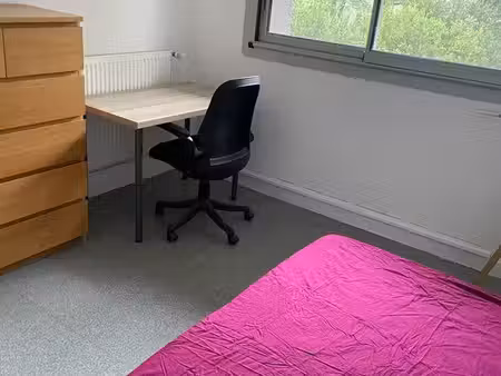 chambre à louer 500 cc