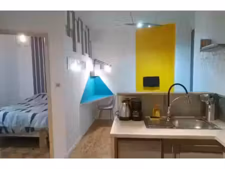 location meublée appartement 1 pièce 30 m² à saint-etienne (42000)  900 €