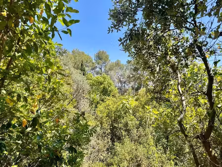 vente terrain à montpellier (34000) : à vendre / 1761m² montpellier