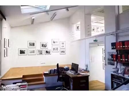 loft/atelier/surface 5 pièces 364 m²