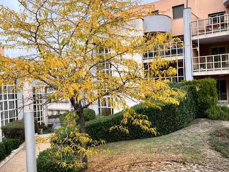appartement chamalieres 4 pièce(s) 124.94 m2