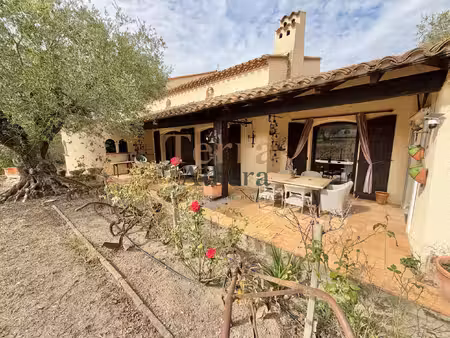 le boulou -- propriété au calme  oliveraie et accès rivière