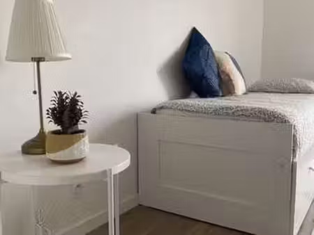 location appartement t1 meublé à palaiseau (91120) : à louer t1 meublé / 21m² palaiseau