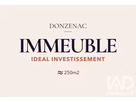 vente immeuble 250 m²