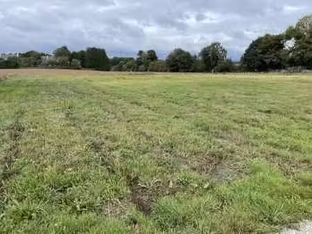 vente terrain à cléguérec (56480) : à vendre / cléguérec