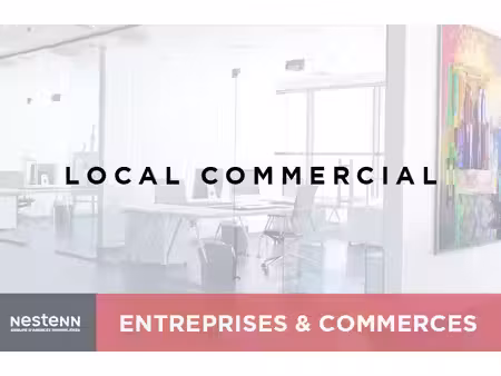 vente commerce angers 49100 86m²