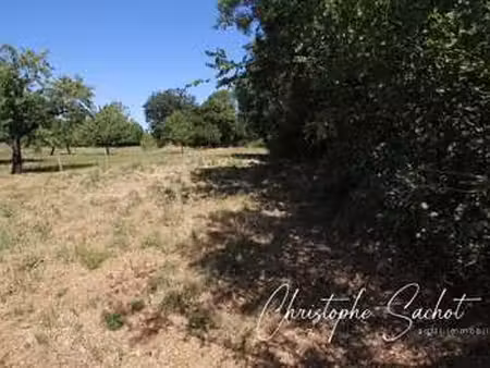 vente terrain à fors (79230) : à vendre / 1047m² fors