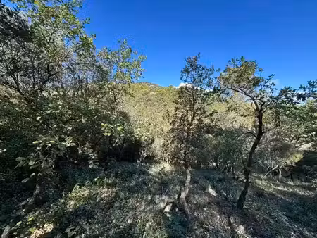 vente terrain neuf 700m2 saint-maximin-la-sainte-baume - 150000 € - surface privée