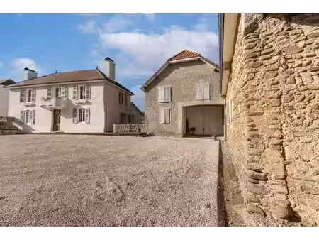 vente maison 7 pièces 239m2 espéchède 64160 - 530000 € - surface privée