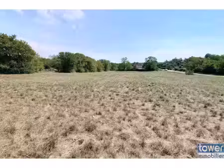 achat terrain 2 559m² montsales 12260