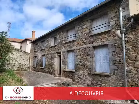 vente immeuble 12 pièces 208 m² à allegre (43270)  129 000 €