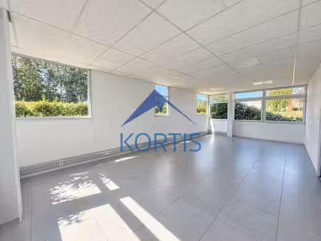 location local professionnel 234m² st priest 69800