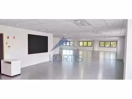 location local professionnel 317m² st priest 69800