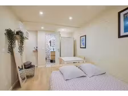 appartement t1 entièrement rénové