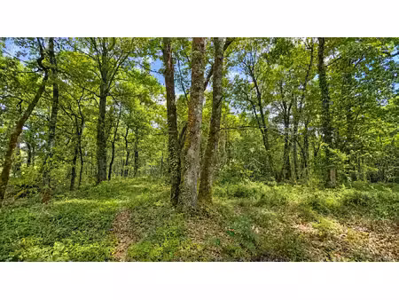 vente terrain 10280 m² à péreuil (16250)  7 500 €