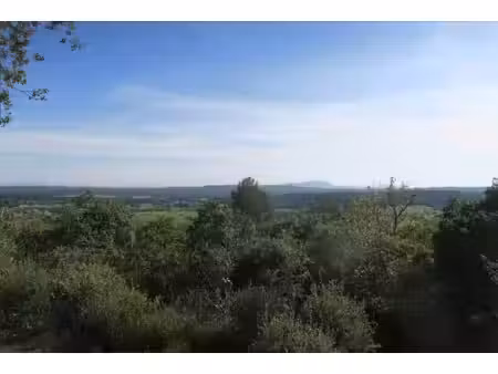 terrain de 6665 m2 avec pc obtenu pour maison bioclimatique