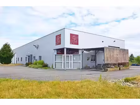 vente local d’activités 675m²
