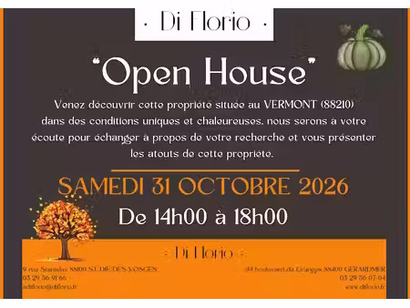 vente maison 6 pièces 200 m² à le vermont (88210)  339 000 €