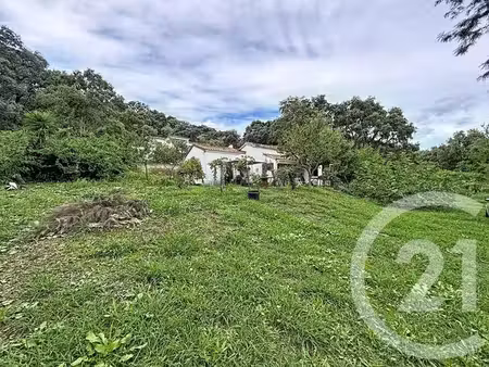 terrain à vendre - 2100 m2 - santa lucia di moriani - 202 - corse