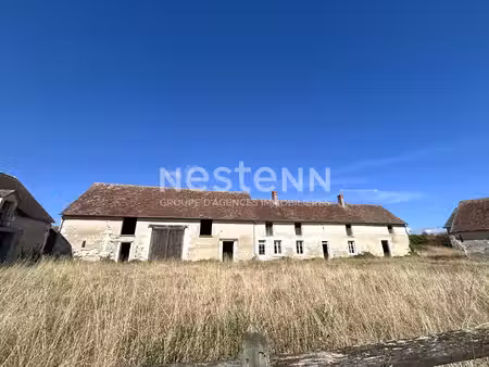 corps de ferme avec plusieurs bâtiments à villentrois faverolles en berry (indre 36)