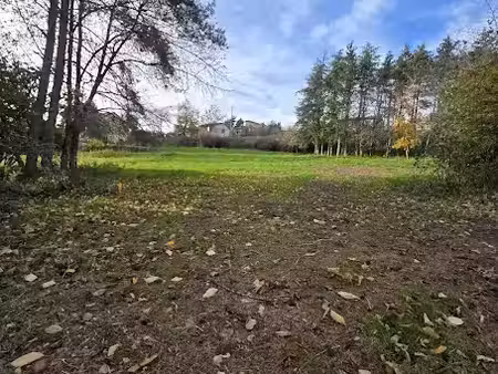 vente terrain 740 m² à bas-en-basset (43210)  70 000 €