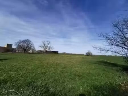 vente terrain 1377 m² à saint-ferréol-d'auroure (43330)  60 000 €