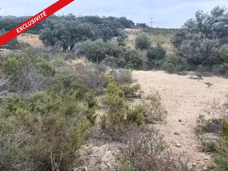 terrain agricole 10160 m2