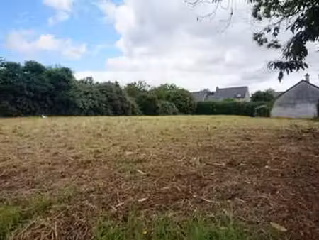 vente terrain à la baussaine (35190) : à vendre / 2600m² la baussaine