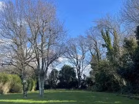 vente terrain à sarzeau (56370) : à vendre / 719m² sarzeau