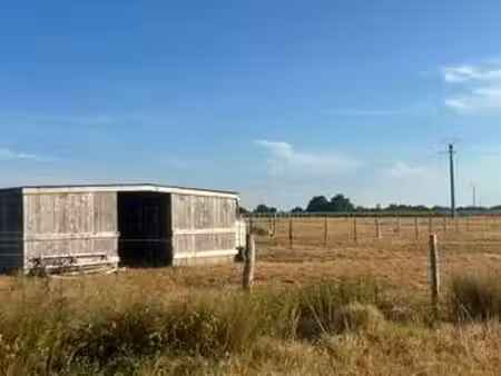 vente terrain à gorges (44190) : à vendre / gorges
