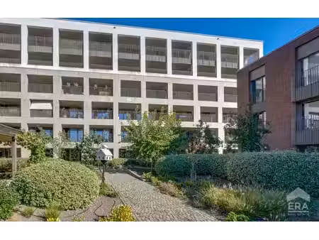 appartement lumineux au cœur de hasselt avec spacieuse terra