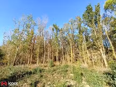 vente terrain à mareuil-sur-lay-dissais (85320) : à vendre / 19013m² mareuil-sur-lay-dissa