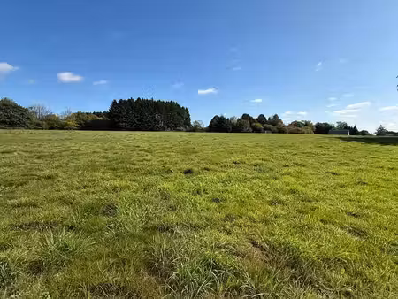 terrain à bâtir à couvin