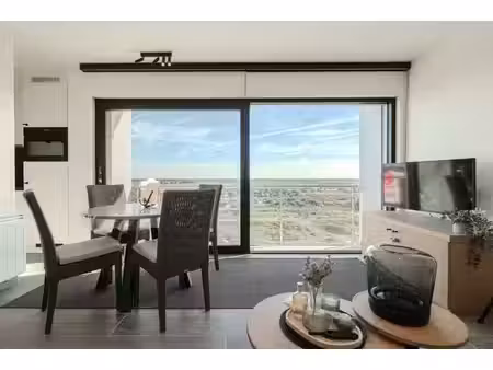 magnifique studio avec terrasse orientée plein sud et vue pa