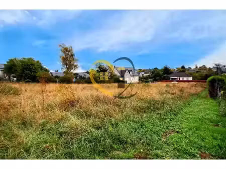 terrain constructible de 4 205 m² – sainte-maure-de-touraine (centre-ville)