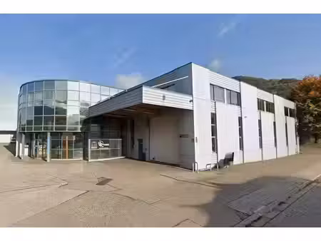 vente local d’activités cluses 74300 4158m²
