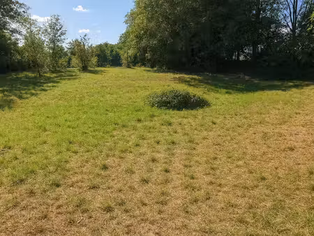 alloue - beau terrain à construire