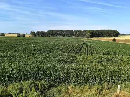 terrains agricoles libres