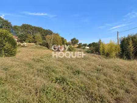 terrain