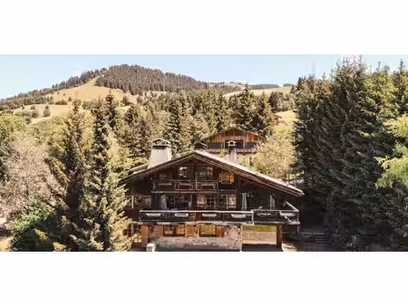 chalet avec terrasse megeve (74)