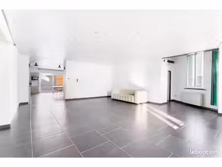 maison 7 pièces 207 m²