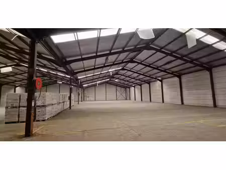 entrepôt à louer à tessenderlo pour € 5.833