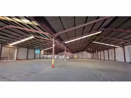 entrepôt à louer à tessenderlo pour € 7.291